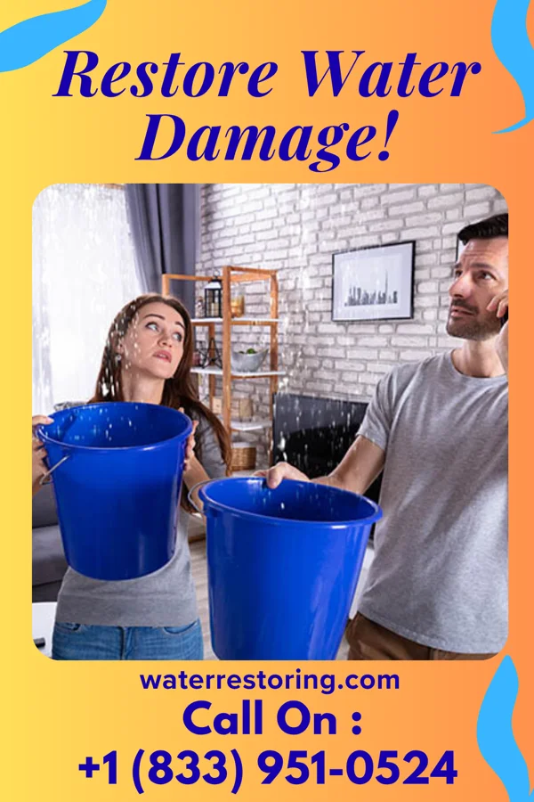 water restoration Peak Flood Cleanup Contractors Iaeger