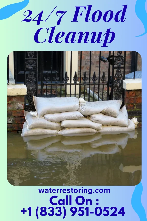 24/7 Flood Cleanup in Iaeger, WV