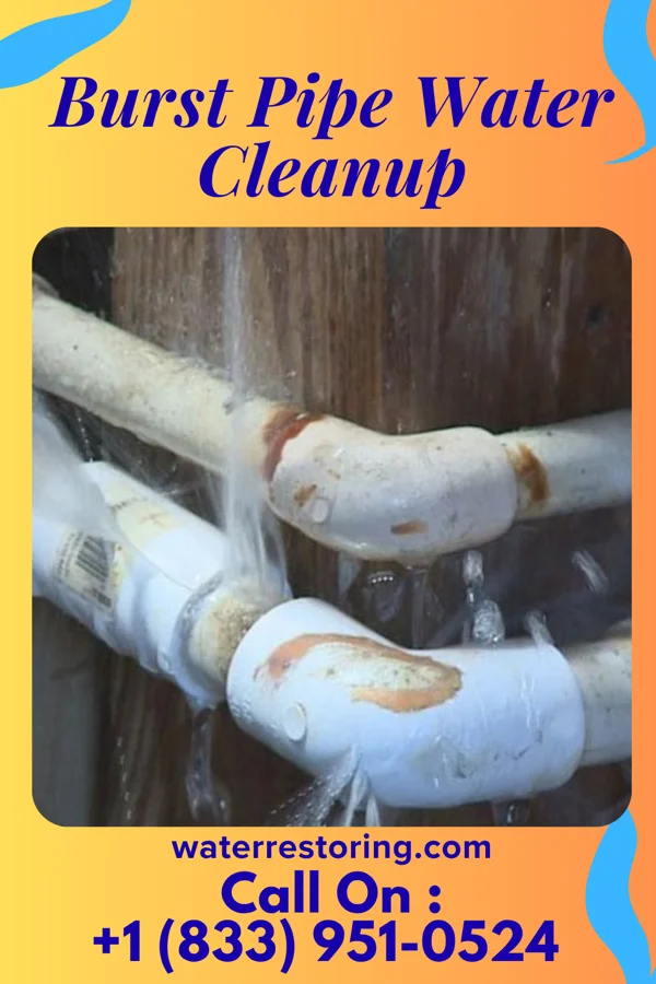 Burst Pipe Water Cleanup in Iaeger, WV