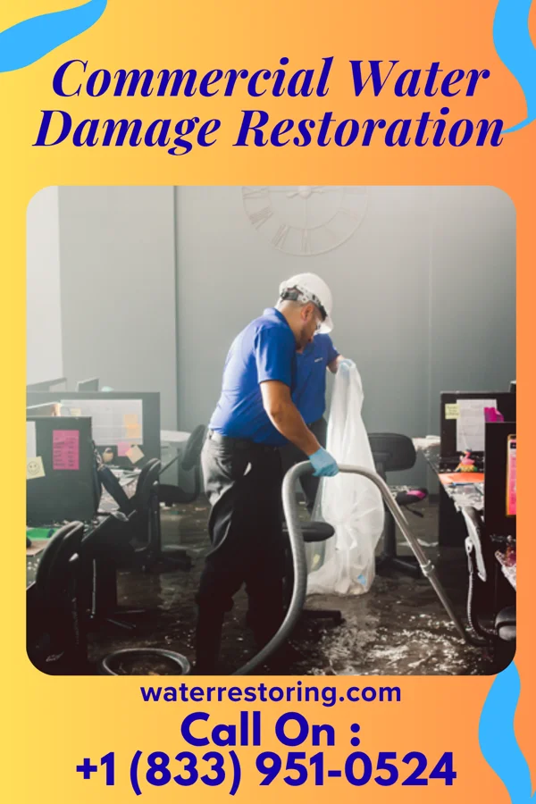 Commercial Water Damage Restoration in Iaeger, WV
