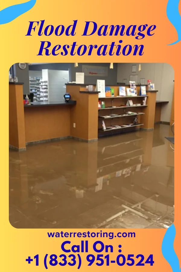 Flood Damage Restoration in Iaeger, WV