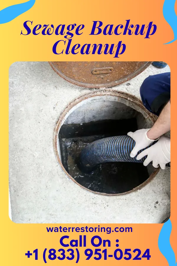 Sewage Backup Cleanup in Iaeger, WV