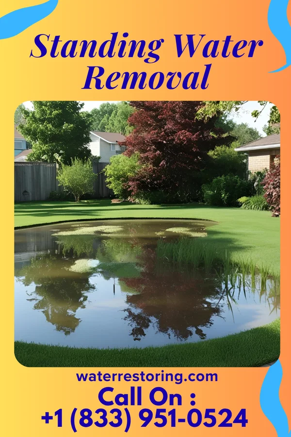 Standing Water Removal in Iaeger, WV